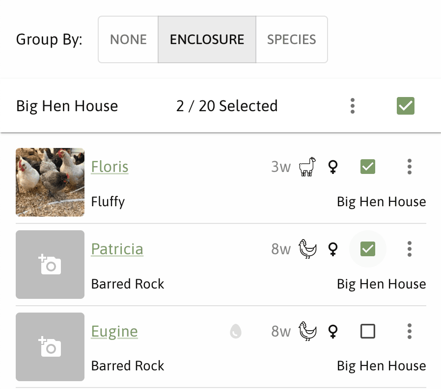 Group animals by enclosure or species