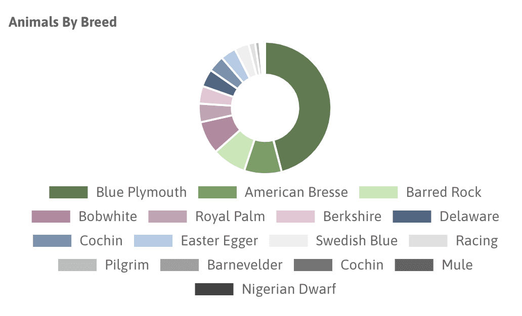 Animals by breed donut chart