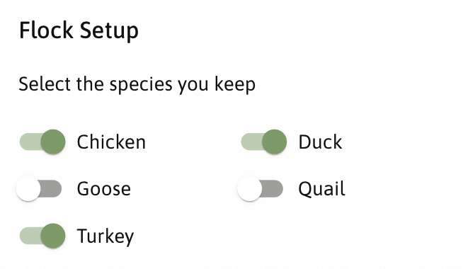 Flock Setup